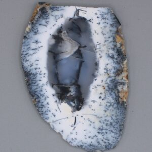 Dendritic Opal Slab