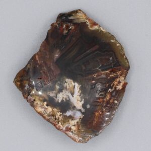 Ankara Agate Specimen Cut