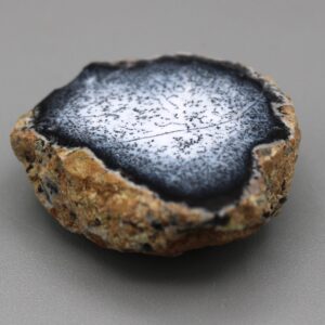 Dendritic Opal Specimen Cut