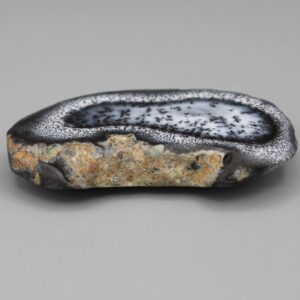 Dendritic Opal Specimen Cut