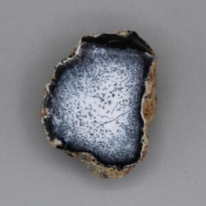 Dendritic Opal Specimen Cut