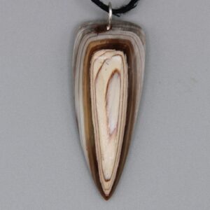 Petrified Wood Pendant